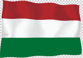 A bandeira da hungria é uma tricolor horizontal de vermelho, branco e verde.esta bandeira foi adaptada durante a revolta de 1848.até 1945, a coroa real era colocada no centro da bandeira. Bandera De Hungria Bandera De Guatemala Austria Bandera Diverso Bandera Pegatina Para El Parachoques Png Klipartz