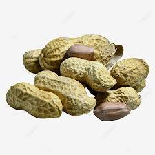Ribuan gambar baru berkualitas tinggi ditambahkan setiap hari. Gambar Tumpukan Kacang Dan Kacang Tanah Yang Tidak Dikupas Clipart Kacang Makanan Sebelah Png Dan Clipart Untuk Muat Turun Percuma