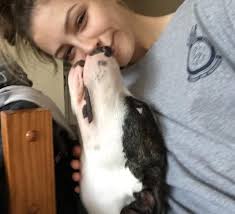 This is Mars he was last seen yesterday 03/28/2022 at home in the  Cakegrove, NMB area. He's 12 yrs old and can hardly walk so he could not  have gone far. He