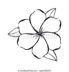 Migliaia di nuove immagini di alta qualità aggiunte ogni giorno. Immagine Fiore Delicato Disegno Icona Fiore Immagine Illustrazione Vettore Disegno Delicato Disegno Icona Canstock