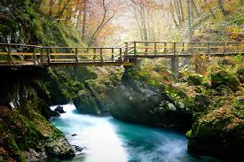 We did not find results for: Vintgar Gorge Think Slovenia