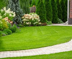 Tender touch landscaping understands that the safety of your family, children and pets is the most. Tree And Shrub Program Superior Lawn Care