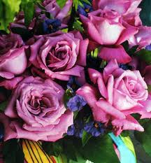 From 13 to 14 cm plant hardiness zones(usda): Tea Hybrid Rose Claude Brasseur Rose Claude Brasseur Claude Brasseur Hybrid Tea