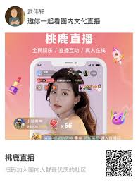 套路直播app，直播回放应有尽有