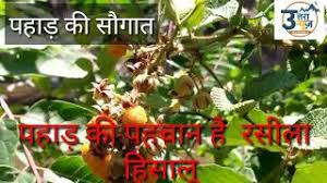 Fir aipan diye jaate hain. à¤¸ à¤¸ à¤• à¤¤ Archives Page 6 Of 23 à¤‰à¤¤ à¤¤à¤° à¤¨ à¤¯ à¤œ