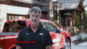 Steve's pest control's 5 star programs are designed to ensure you, your family, and your property are protected year 'round from invading pests. Steve S Pest Control Inc Columbia Mo Youtube