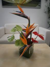 Centerpiece Bird Of Paradise Flower Arrangement Epingle Par Flora Unique Florist Sur In House Tropical Designs Deco Floral Arrangements Floraux Composition Florale