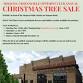 Optimist Club Christmas Tree Sale event image