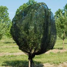 Bird Netting For Blueberries Lowes Premium Bird Netting Gardens Alive In 2020 Bird Netting Plant Protection Garden Netting