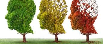 Giovanni racconta la malattia della moglie. Studio Del Bene Chiropratica E Cura Della Persona Morbo Di Alzheimer Il Viaggio Verso Un Mondo Parallelo Studio Del Bene Chiropratica E Cura Della Persona