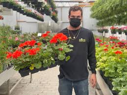 Landscaping & lawn care (37) results. Business Blooming As People Flock To Local Garden Centres Barrie News