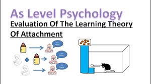 As Psychology Evaluation Of The Learning Theory Of Attachment Learning Theory Psychology A Level Psychology