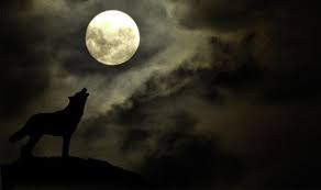 The phrase wolf moon is another name for a full moon, assigned to moons that glow roundly in the dead of winter, specifically in january, referring to the a blood moon holds a range of spiritual and cultural meanings. Wolf Moon 2020 When Is The Next Full Moon What Is Meaning Behind January S Moon Science News Express Co Uk