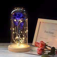 Pin By Debbieleigh On Rose Rose In A Glass Beauty And Beast Rose Flower Lamp