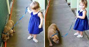 Little Girl Wanted The Dog Who Was "Shaking & Hiding" At The Back Of The  Shelter