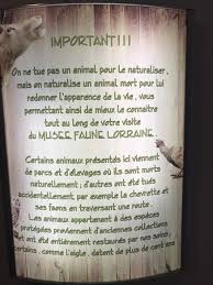 Musee Faune Lorraine Xonrupt Longemer 2021 All You Need To Know Before You Go With Photos Tripadvisor