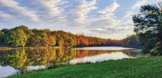 Image result for Nile Green 1988 Audi