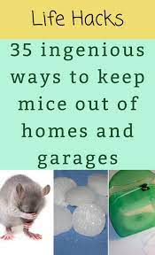 35 Tested Ways To Keep Mice Out Of Your Camper Garage And Home In 2020 Life Hacks Home Diy Life Hacks Life Hacks