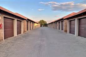 Image result for Stenostelma