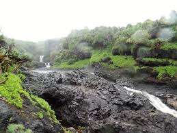 Image result for Kuloa