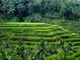 Gambar pemandangan terlampau tepat buat kalian yang sedang di dalam situasi pemandangan yang terlampau dalam. Travel Tuesday Bali Indonesia Bali Island Bali Travel Guide Bali Travel