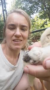 Tara Whitfield's Instagram, Twitter & Facebook