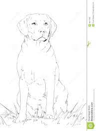 Learn to draw sitting dogs, standing dogs, cute dogs, silly dogs, and a number of dog breeds and cartoon characters. Dog Sitting Drawing Dog Sketch Dog Drawing Dog Portrait Drawing