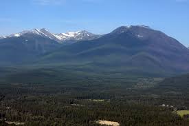 Konaklama seçenekli web sitesini kullanarak seyahat odin. Cabinet Mountains Judge Wants Proof Mine Won T Harm Grizzly Bears Bull Trout Missoula Current