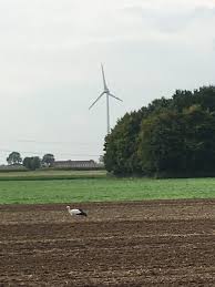 Power output, turbine statistics, water depths, developers and contractors 01 sep 2020: So Hat Die Presse 2018 Die Windkraft Gesehen Stand Januar 2019 1000 Meter Fur Hille