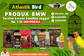 Entdecke rezepte, einrichtungsideen, stilinterpretationen und andere ideen zum ausprobieren. Racikan Jamu Lovbirt Konslet Untuk Betina Ramuan Daun Serai Agar Lovebird Ngekek Panjang Jenis Burung Untuk 2 Menit Ke Atas Bisa Dipertimbangkan Untuk Menjadi