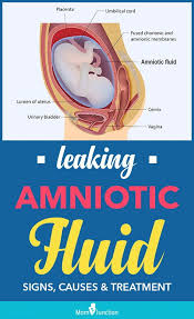 We did not find results for: Pin On Baby Checklist