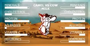 Box 3050, doha, qatar ; Aadvik Foods On Twitter Camel Milk Vs Cow Milk Aadvikfoods Aadvik Camelmilk Camel Milk Delicious Tasty For More Info Visit Https T Co 6zbjghz486 Https T Co Uelmt6qvk0
