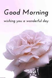 Best Good Morning Hd Images Wishes Pictures And Greetings Good Morning Wallpaper Good Morning Images Good Morning Images Hd