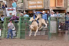 Dubois Friday Night Rodeo wraps up Summer Series 2019