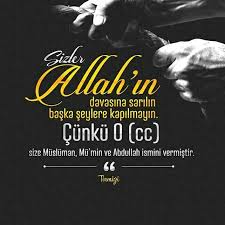 71a766ffdffafe84b704fe6c5fed8d4b Jpg 642 642