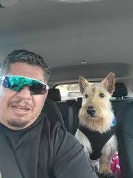 He showed no signs what so ever. On Halloween night he greeted all the  trick & treaters. Played ball all evening. Then he woke us up at 4am. Could  not stop throwing