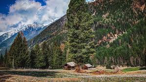 Free play choose exactly how you want to search for hidden items. 1082x1922px Free Download Hd Wallpaper Nature Wilderness Cabin Larch Mountain Tree Hut Log Cabin Wallpaper Flare