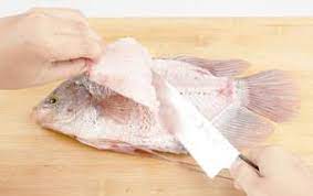 Mengenal Fillet Ikan Tipe Fillet Ikan Dan Cara Fillet Ikan Sukses Jaya Mobile
