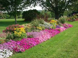 Aug 05, 2014 · 20 rock garden ideas that will put your backyard on the map. Google Image Result For Http Www Gardeninginfozone Com Wp Content Uploads 201 Flower Garden Layouts Beautiful Flowers Garden Flower Garden Design