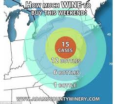 East Coast Finds Humor In Jonas With Blizzard Hookups Wine Drinking Wine Humor Funny Wine Pictures Wine