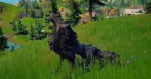 Unlock your intuition, confidence & power with walking therapy (audio download): Fortnite How To Get Wolf Fang Wolf Spawn Locations