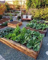 How To Properly Emulsify Neem Oil Make A Safe Garden Pest Spray Homestead And Chill In 2020 Vegetable Garden Design Garden Projects Diy Garden