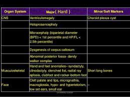 1 Fetal Genetic Ultrasound Dr Ahmed Esawy