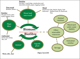 Buy raw high energy corporation is based in malaysia over 20 years of r & d. Irradiation Pretreatment Of Tropical Biomass And Biofiber For Biofuel Production Intechopen