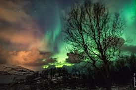 Magische lichtschleier und grünes leuchten: Nord Norwegen Und Die Nordlichter Reloaded Gwegner De