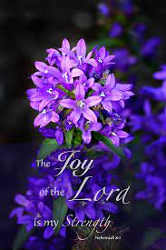For this day is holy to our lord. The Joy Of The Lord Is My Strength Photograph By Debbie Nobile