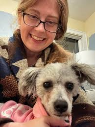 Adopting a miniature lookalike dog in the dogspotting society