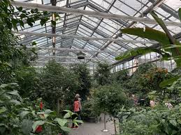 The horticulture experts at the butterfly house will help you plan your pollinator garden. Vs1l1xnk8sm7vm