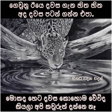 Check spelling or type a new query. à·„ à¶­à¶§ à·€à¶¯ à¶± à·€à¶¯à¶± Hithata Wadina Wadan Photos Facebook