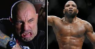Joe rogan (@joerogan) | твиттер джо рогана. Joe Rogan Reacts To Yoel Romero S Brutal Knockout At Ufc 221